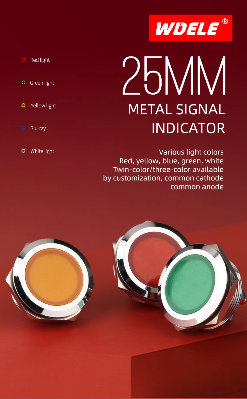 Wdele High Durability 25mm Flat Head Metal Waterproof Industrial Machinery 24 Volt LED Indicator Light