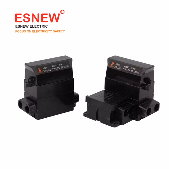 Sp/Spn 60/80/100A Home House Service Cut out Fuse